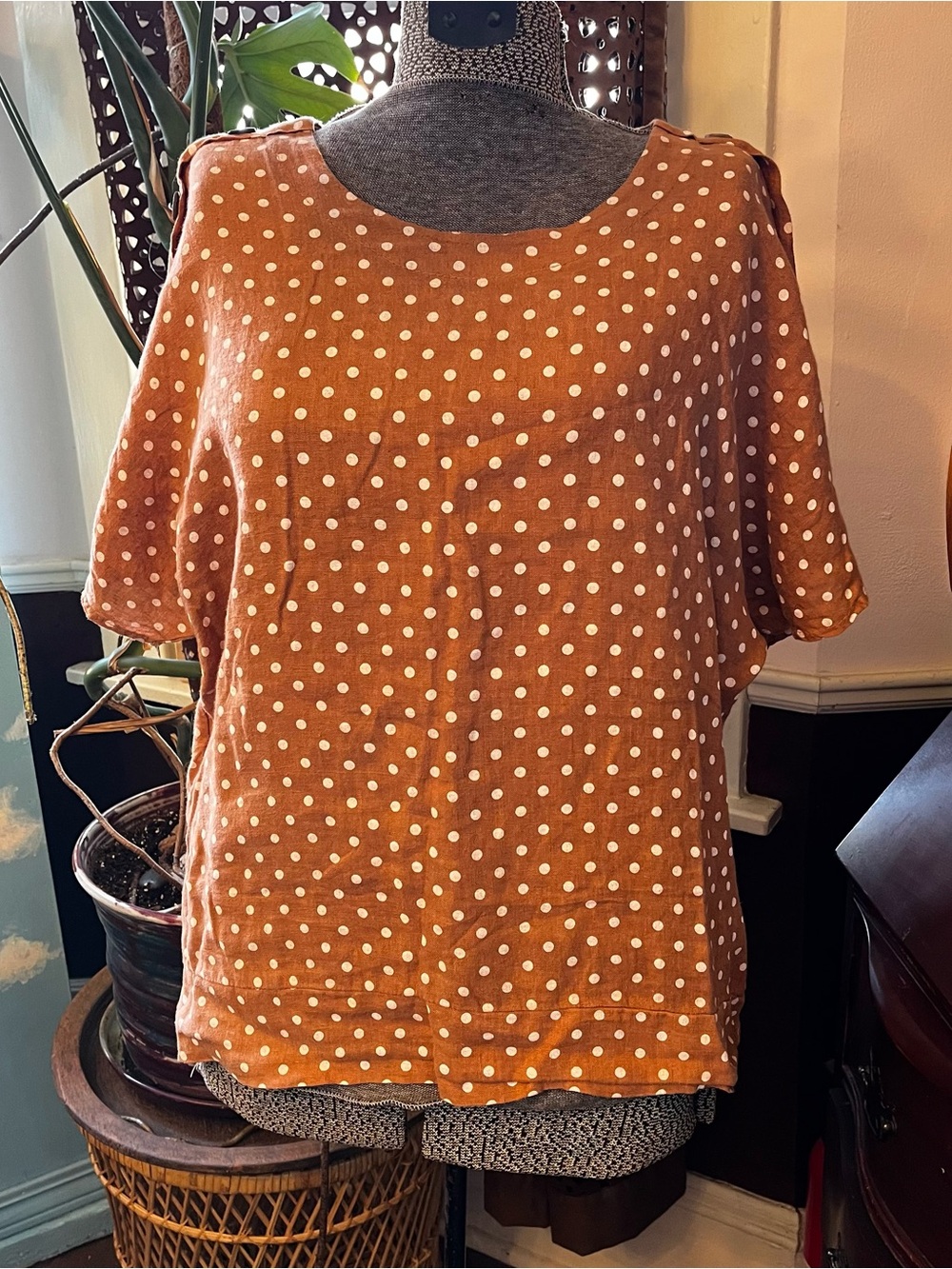Women's Polka Dot boat Neck Blouse in Terra cotta